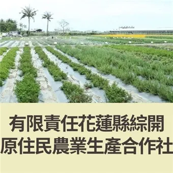 合作社圖片