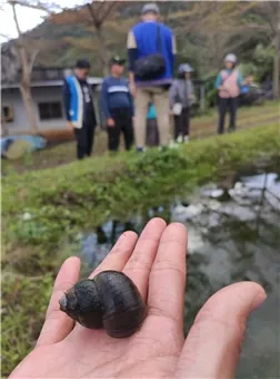 產品圖片