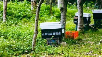 產品圖片