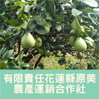 產品圖片